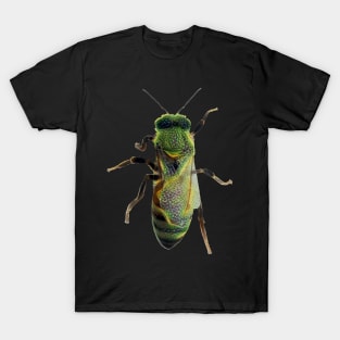 Worker Honey Bee 08 T-Shirt